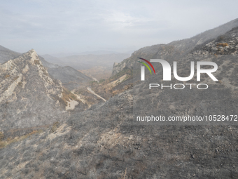 A drone image shows a view of the burned areas of land between the Dadia forest and the villages of Kirkis and Sykorrachis, Alexandroupolis,...