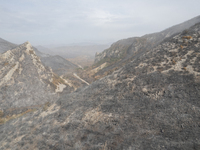 A drone image shows a view of the burned areas of land between the Dadia forest and the villages of Kirkis and Sykorrachis, Alexandroupolis,...