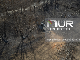 A drone image shows a view of the burned areas of land between the Dadia forest and the villages of Kirkis and Sykorrachis, Alexandroupolis,...