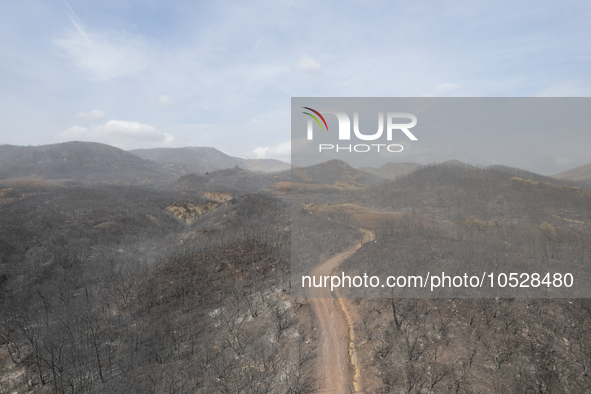 A drone image shows a view of the burned areas of land between the Dadia forest and the villages of Kirkis and Sykorrachis, Alexandroupolis,...