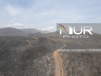 A drone image shows a view of the burned areas of land between the Dadia forest and the villages of Kirkis and Sykorrachis, Alexandroupolis,...