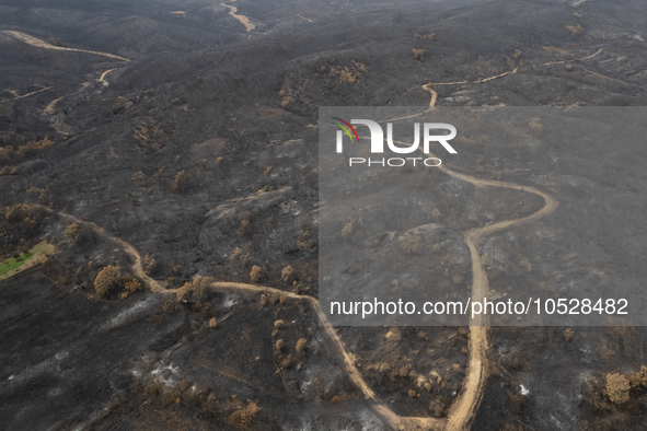 A drone image shows a view of the burned areas of land between the Dadia forest and the villages of Kirkis and Sykorrachis, Alexandroupolis,...