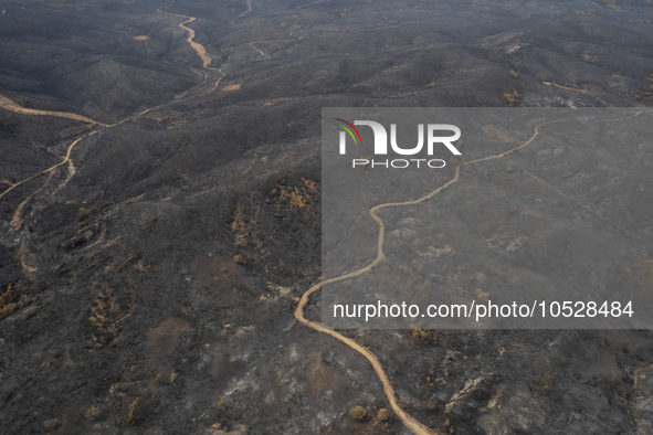 A drone image shows a view of the burned areas of land between the Dadia forest and the villages of Kirkis and Sykorrachis, Alexandroupolis,...