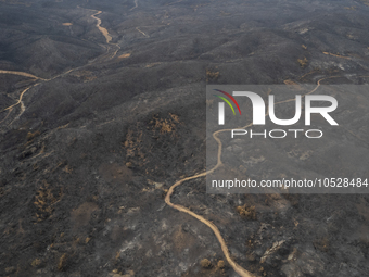 A drone image shows a view of the burned areas of land between the Dadia forest and the villages of Kirkis and Sykorrachis, Alexandroupolis,...