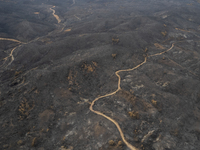 A drone image shows a view of the burned areas of land between the Dadia forest and the villages of Kirkis and Sykorrachis, Alexandroupolis,...