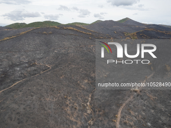 A drone image shows a view of the burned areas of land between the Dadia forest and the villages of Kirkis and Sykorrachis, Alexandroupolis,...