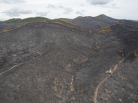 A drone image shows a view of the burned areas of land between the Dadia forest and the villages of Kirkis and Sykorrachis, Alexandroupolis,...