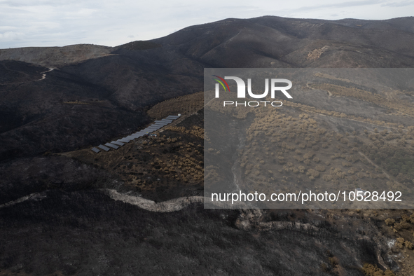 A drone image shows a view of the burned areas of land between the Dadia forest and the villages of Kirkis and Sykorrachis, Alexandroupolis,...