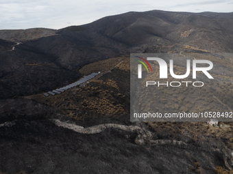 A drone image shows a view of the burned areas of land between the Dadia forest and the villages of Kirkis and Sykorrachis, Alexandroupolis,...