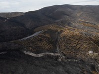 A drone image shows a view of the burned areas of land between the Dadia forest and the villages of Kirkis and Sykorrachis, Alexandroupolis,...