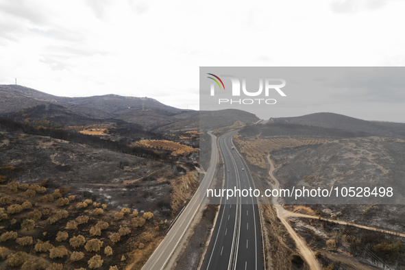 A drone image shows a view of the burned areas of land between the Dadia forest and the villages of Kirkis and Sykorrachis, Alexandroupolis,...