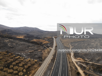 A drone image shows a view of the burned areas of land between the Dadia forest and the villages of Kirkis and Sykorrachis, Alexandroupolis,...