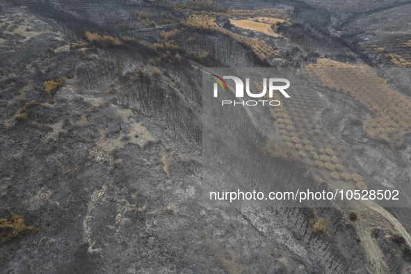 A drone image shows a view of the burned areas of land between the Dadia forest and the villages of Kirkis and Sykorrachis, Alexandroupolis,...