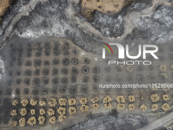 A drone image shows a view of the burned areas of land between the Dadia forest and the villages of Kirkis and Sykorrachis, Alexandroupolis,...