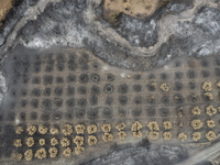 A drone image shows a view of the burned areas of land between the Dadia forest and the villages of Kirkis and Sykorrachis, Alexandroupolis,...