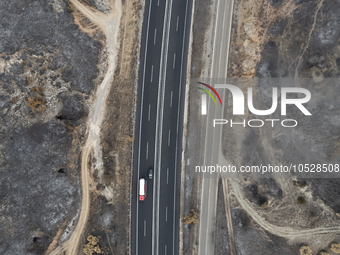 A drone image shows a view of the burned areas of land between the Dadia forest and the villages of Kirkis and Sykorrachis, Alexandroupolis,...