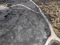 A drone image shows a view of the burned areas of land between the Dadia forest and the villages of Kirkis and Sykorrachis, Alexandroupolis,...