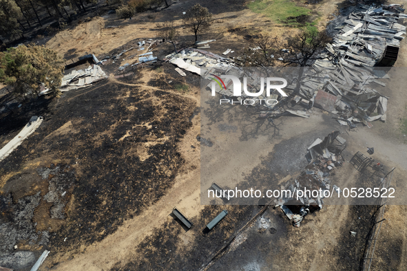 A drone image shows a view of the burned areas of land between the Dadia forest and the villages of Kirkis and Sykorrachis, Alexandroupolis,...