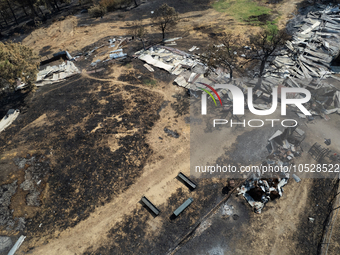 A drone image shows a view of the burned areas of land between the Dadia forest and the villages of Kirkis and Sykorrachis, Alexandroupolis,...