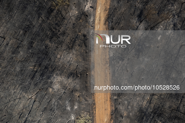 A drone image shows a view of the burned areas of land between the Dadia forest and the villages of Kirkis and Sykorrachis, Alexandroupolis,...