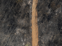 A drone image shows a view of the burned areas of land between the Dadia forest and the villages of Kirkis and Sykorrachis, Alexandroupolis,...