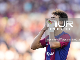 Joao Felix second striker of Barcelona and Portugal lament a failed occasion during the LaLiga EA Sports match between FC Barcelona and Celt...