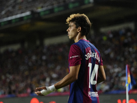 Joao Felix second striker of Barcelona and Portugal during the LaLiga EA Sports match between FC Barcelona and Celta Vigo at Estadi Olimpic...