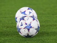 Official UEFA Champions League match ball during the UEFA Champions League Group E match between SS Lazio v Atletico de Madrid at Stadio Oli...