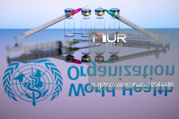 World Health Organization (WHO) displayed on screen with pharmacy medical syringe and vaccine vial. Seen in this photo illustration, in Brus...