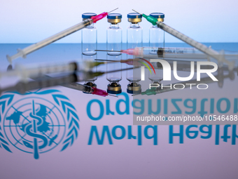 World Health Organization (WHO) displayed on screen with pharmacy medical syringe and vaccine vial. Seen in this photo illustration, in Brus...