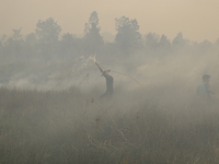 Residents in Soak Batok Village, North Indralaya District, Ogan Ilir Regency, South Sumatra are extinguishing forest and land fires on Monda...