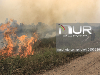 A man in Soak Batok Village, North Indralaya District, Ogan Ilir Regency, South Sumatra are extinguishing forest and land fires on Monday, S...