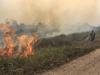 A man in Soak Batok Village, North Indralaya District, Ogan Ilir Regency, South Sumatra are extinguishing forest and land fires on Monday, S...