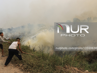 Children in Soak Batok Village, North Indralaya District, Ogan Ilir Regency, South Sumatra are extinguishing forest and land fires on Monday...