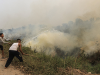 Children in Soak Batok Village, North Indralaya District, Ogan Ilir Regency, South Sumatra are extinguishing forest and land fires on Monday...