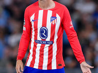 Alvaro Morata of Atletico de Madrid looks on during the UEFA Champions League Group E match between SS Lazio v Atletico de Madrid at Stadio...