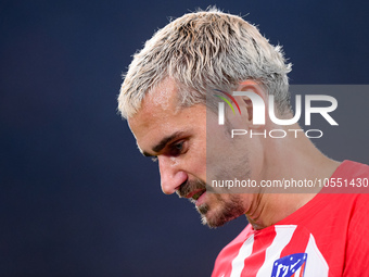 Antoine Griezmann of Atletico de Madrid looks on during the UEFA Champions League Group E match between SS Lazio v Atletico de Madrid at Sta...