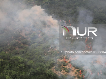 CHENGDE, CHINA - SEPTEMBER 25, 2023 - Firefighters perform a fire fighting drill in a forest area in Chengde, Hebei Province, China, Sept 25...