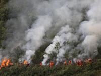 CHENGDE, CHINA - SEPTEMBER 25, 2023 - Firefighters perform a fire fighting drill in a forest area in Chengde, Hebei Province, China, Sept 25...