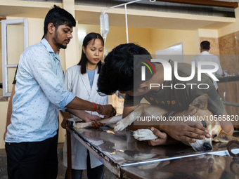 A doctor administered Anti-Rabies Vaccine (ARV) at a Govt. veterinary hospital, during a free anti rabies vaccination drive, on the occasion...