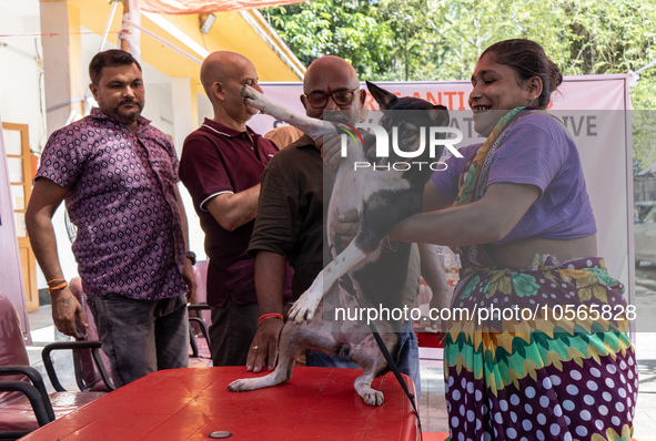 A doctor administered Anti-Rabies Vaccine (ARV) at a Govt. veterinary hospital, during a free anti rabies vaccination drive, on the occasion...