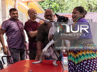 A doctor administered Anti-Rabies Vaccine (ARV) at a Govt. veterinary hospital, during a free anti rabies vaccination drive, on the occasion...