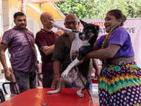 A doctor administered Anti-Rabies Vaccine (ARV) at a Govt. veterinary hospital, during a free anti rabies vaccination drive, on the occasion...