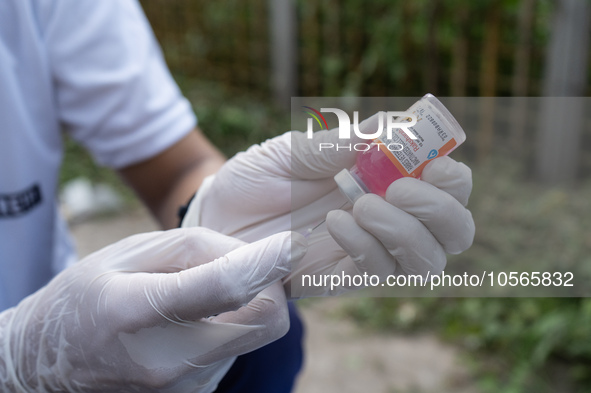 A volunteers of Pet Love Foundation prepare a dose of Anti-Rabies Vaccine (ARV) to administer street dogs during a special campaign on the o...