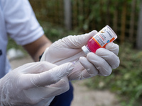 A volunteers of Pet Love Foundation prepare a dose of Anti-Rabies Vaccine (ARV) to administer street dogs during a special campaign on the o...