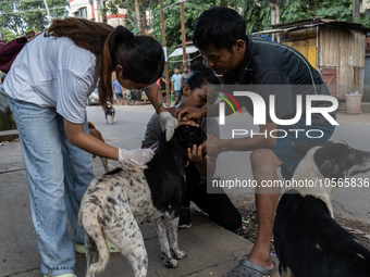 Volunteers of Pet Love Foundation administrate the Anti-Rabies Vaccine (ARV) to street dogs during a special campaign on the occasion of Wor...