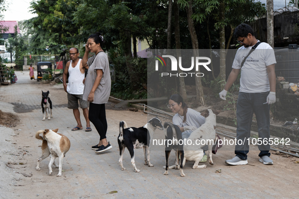 Volunteers of Pet Love Foundation administrate the Anti-Rabies Vaccine (ARV) to street dogs during a special campaign on the occasion of Wor...