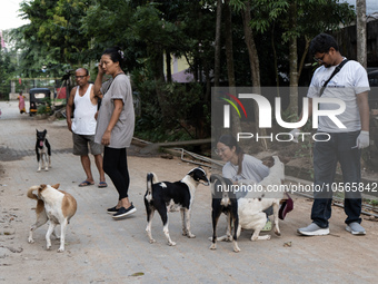 Volunteers of Pet Love Foundation administrate the Anti-Rabies Vaccine (ARV) to street dogs during a special campaign on the occasion of Wor...