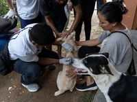 Volunteers of Pet Love Foundation administrate the Anti-Rabies Vaccine (ARV) to street dogs during a special campaign on the occasion of Wor...