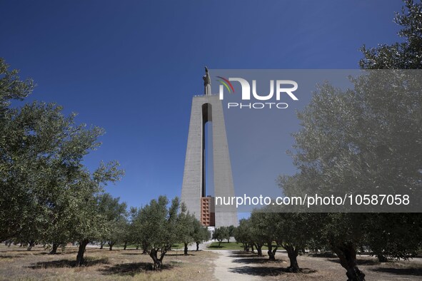 General view of the olive groves near the Christ the King monument in Almada, Lisbon. September 4, 2023. The National Shrine of Christ the K...